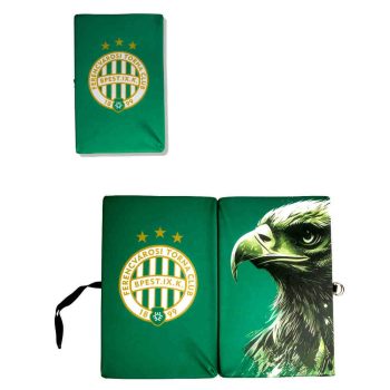 Világoszöld Fradi Sas Ülőpárna, FTC Címerrel